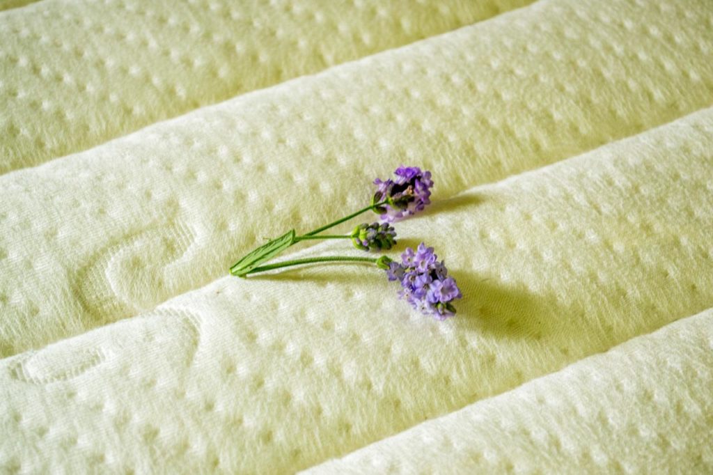 plant based memory foam mattress reviews