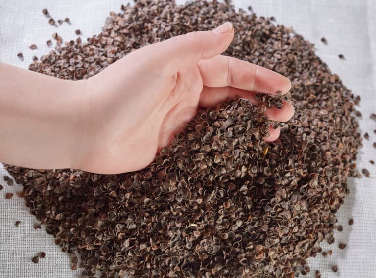 Best Buckwheat Pillow Reviews 2023 Top 10 Compared Choose Mattress